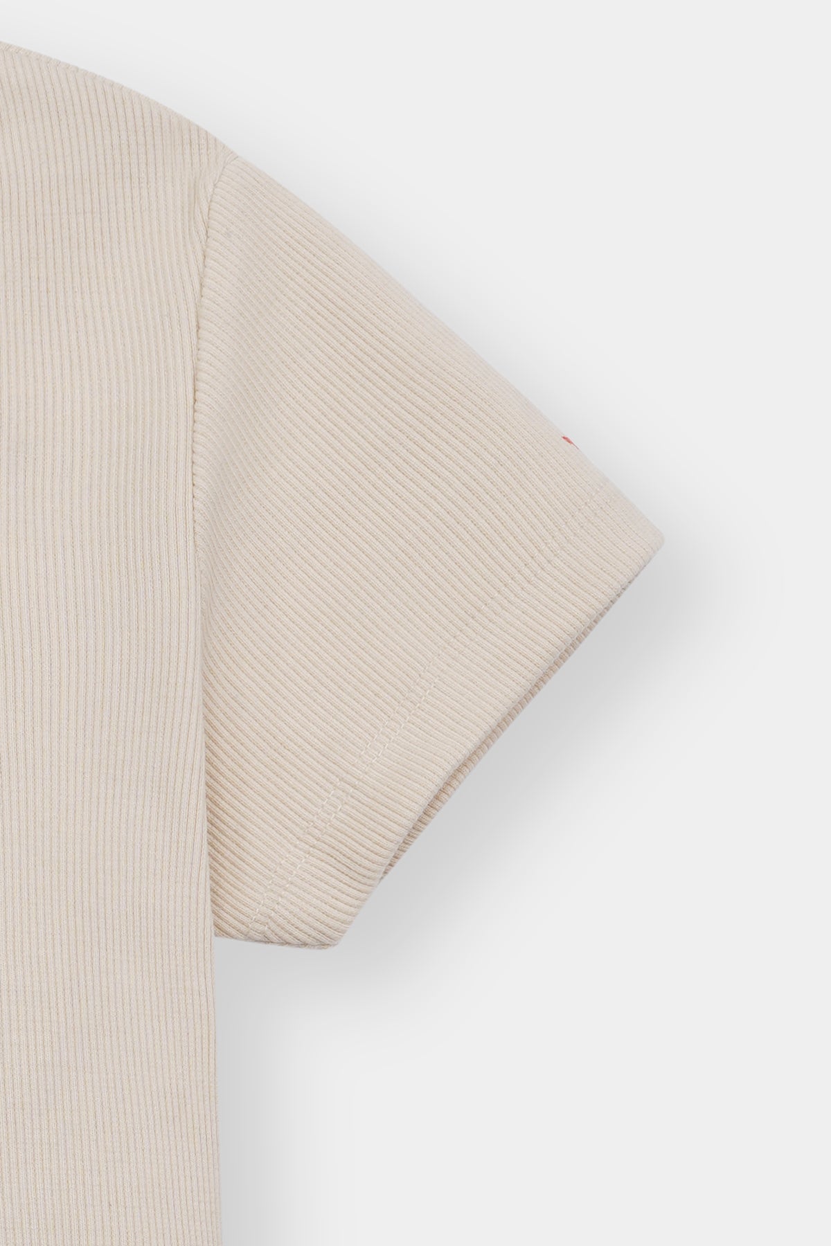 Women Beige Square Neck Ribbed Tee